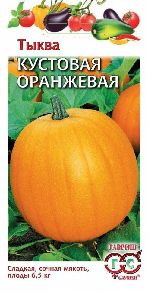 Тыква семена