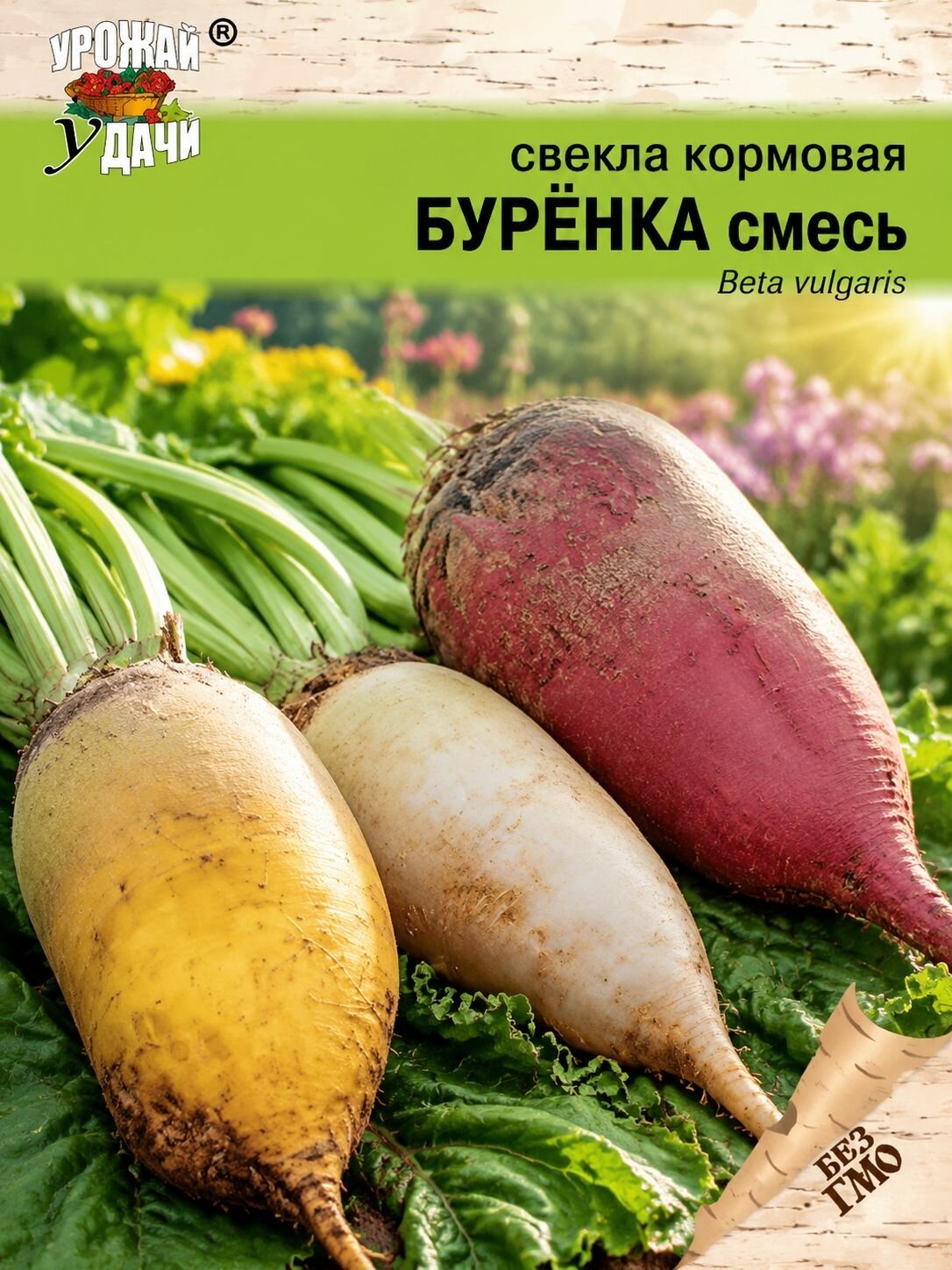 Свекла Сахарная F 1 PMC 121 3 гр