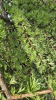 IMG_20260412_153123